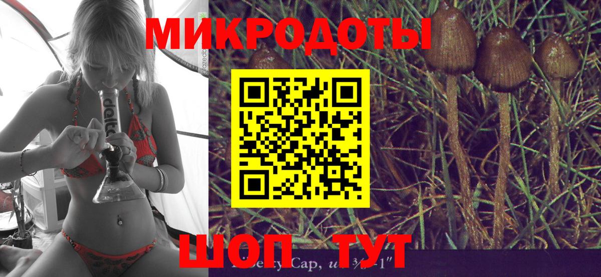 Псилоцибиновые грибы GOLDEN TEACHER  Вход с VPN  продажа наркотиков  Гусев 