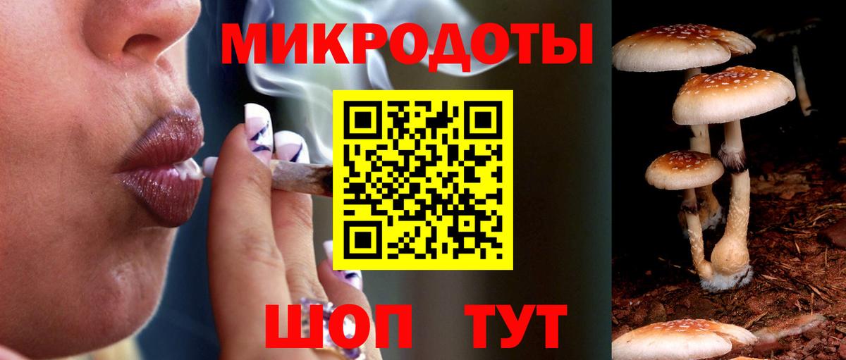 Галлюциногенные грибы GOLDEN TEACHER Гусев